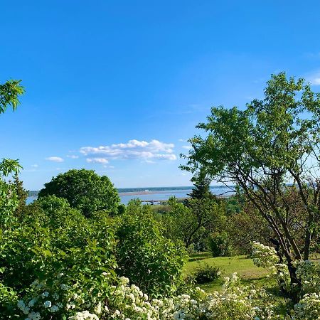 Velencei Vadregenyes Vendeghaz Villa Luaran gambar