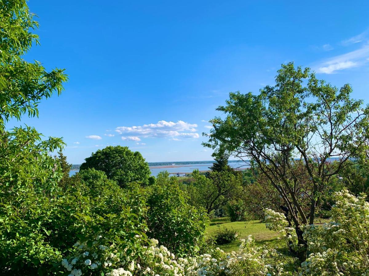 Velencei Vadregenyes Vendeghaz Villa Luaran gambar