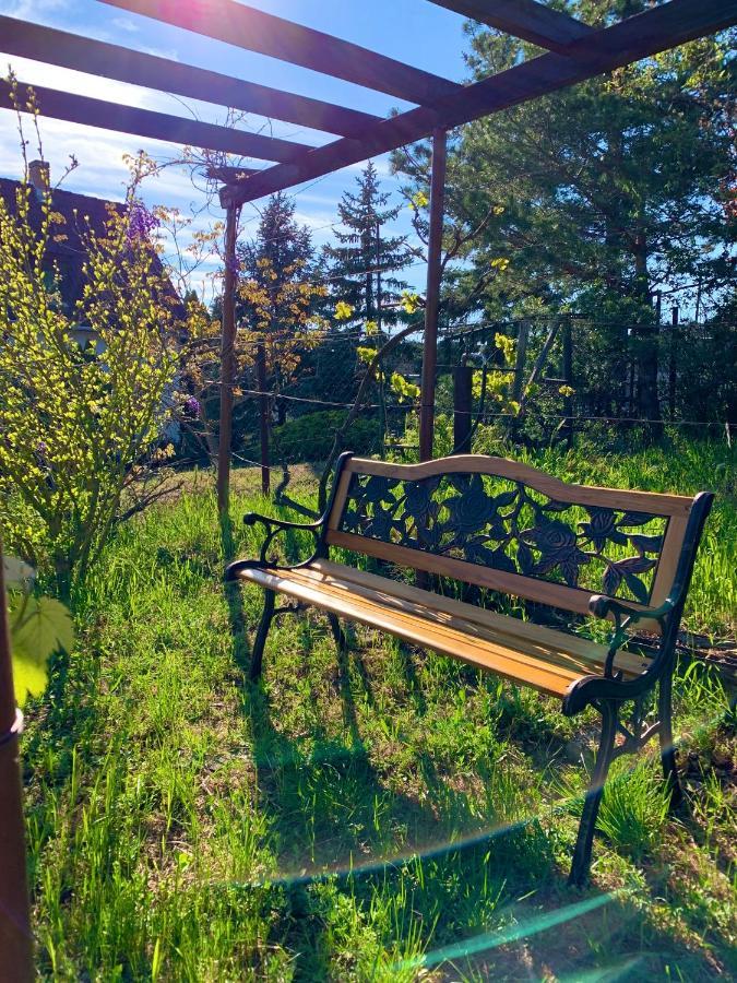 Velencei Vadregenyes Vendeghaz Villa Luaran gambar